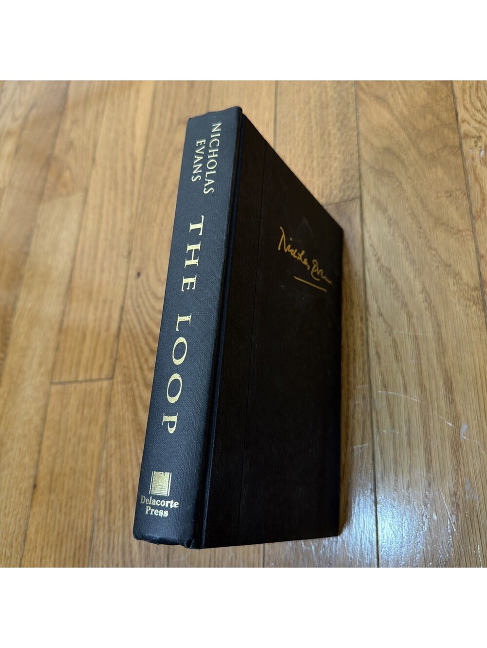Loop by Nicholas Evans Delacorte Press. BS2